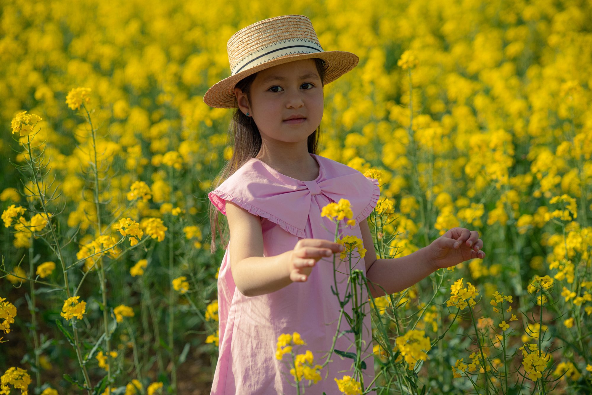 Enfant en robe rose cueillant une fleur de colza, séance photo de printemps