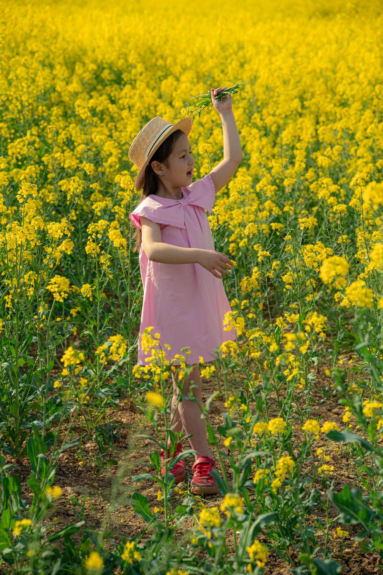 Enfant en robe rose dans un champ de colza, bras levé vers la lumière