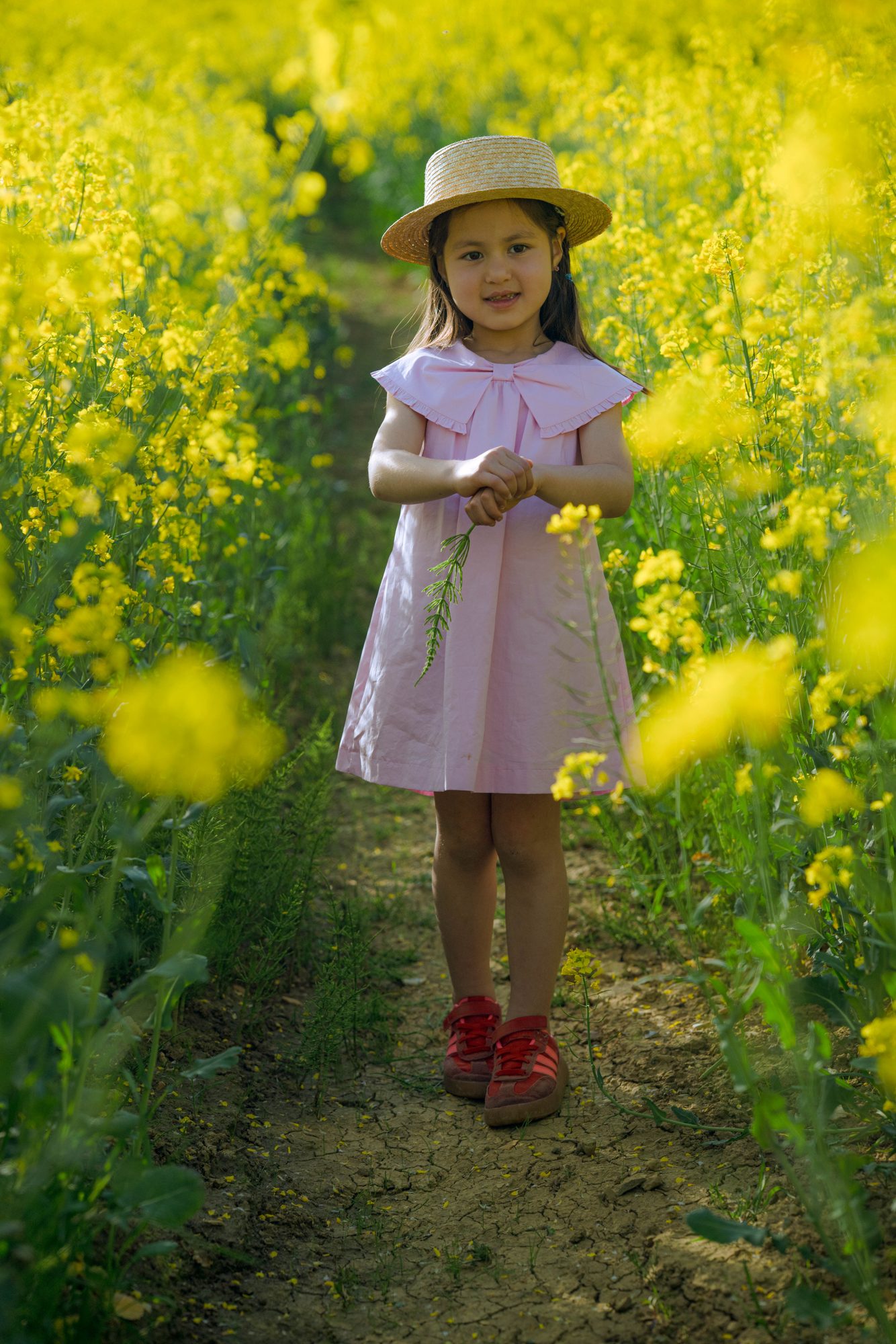 Enfant au milieu des fleurs de colza, séance photo en extérieur près de Nancy