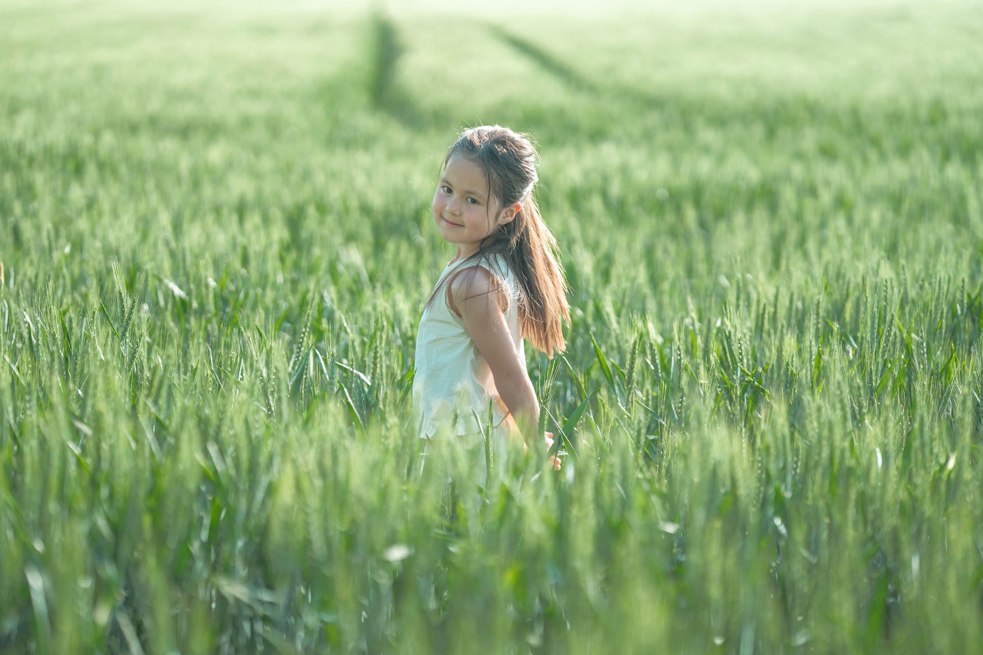 Enfant se retournant dans un champ de blé, séance photo au printemps